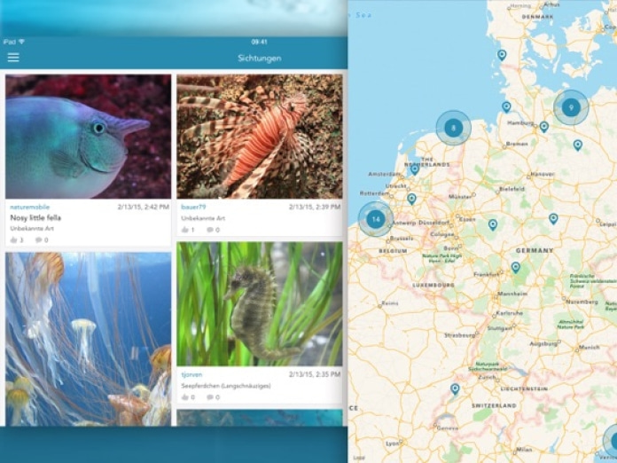 Fische PRO - Lexikon Tablet-Screenshot5