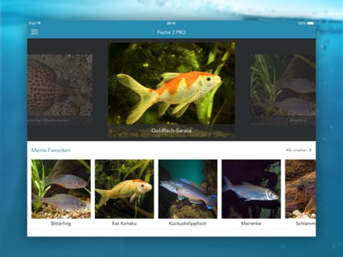 Fische PRO - Lexikon Tablet-Screenshot