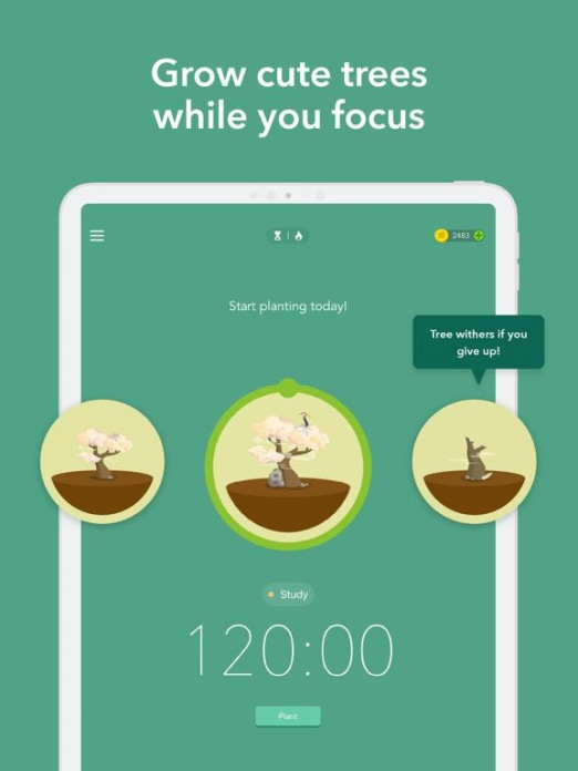 Forest - Bleib fokussiert Tablet-Screenshot3