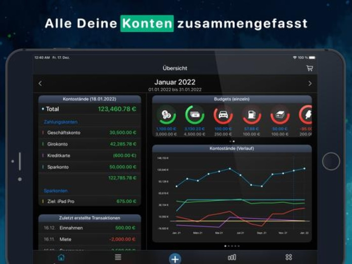 Haushaltsbuch MoneyStats Pro Tablet-Screenshot9