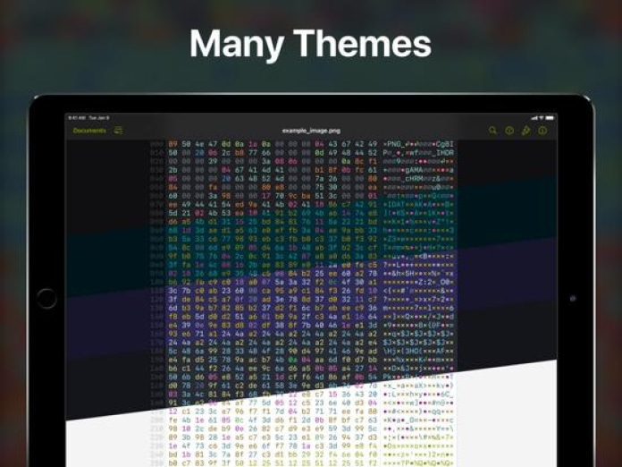 Hexer — Hex File Viewer Tablet-Screenshot2