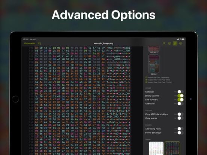 Hexer — Hex File Viewer Tablet-Screenshot4