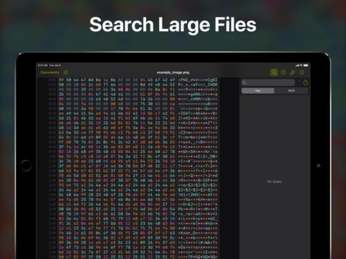 Hexer — Hex File Viewer Tablet-Screenshot6