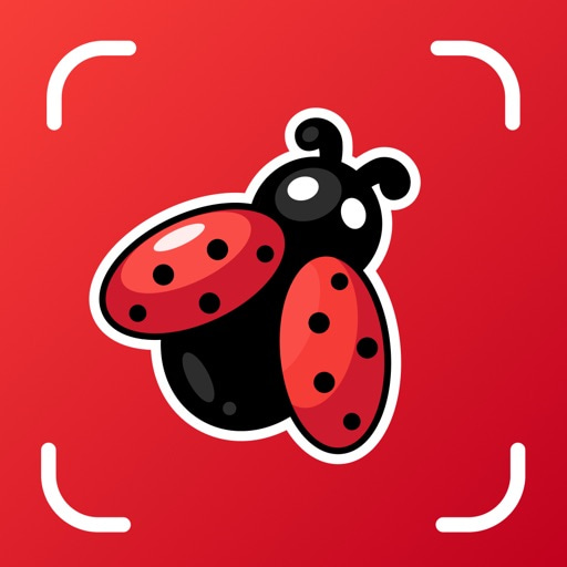 Insektenidentifikator sofort