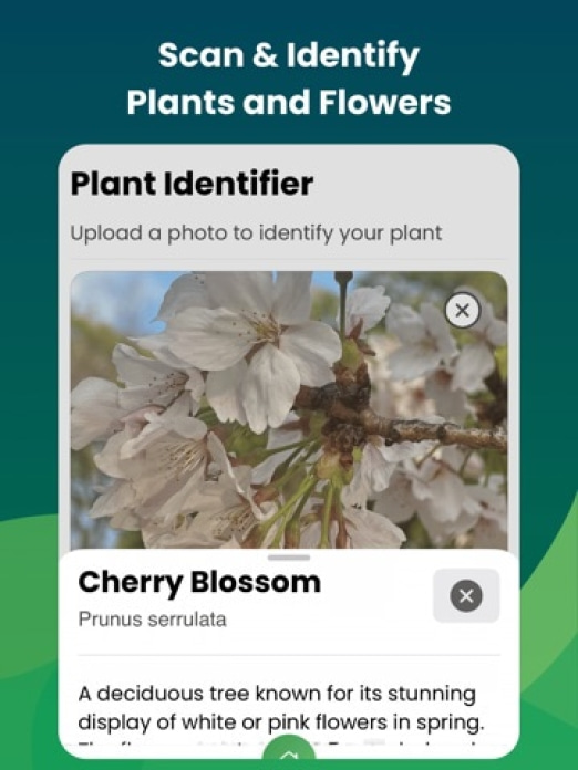 KI Gartenplaner & Gestaltung Tablet-Screenshot4