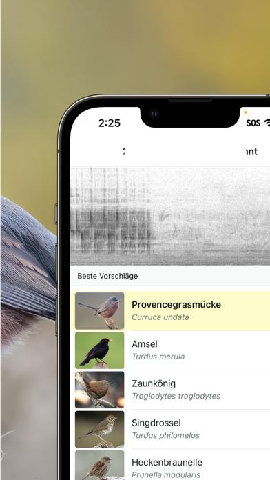 Merlin Bird ID von Cornell Lab Smartphone-Screenshot3
