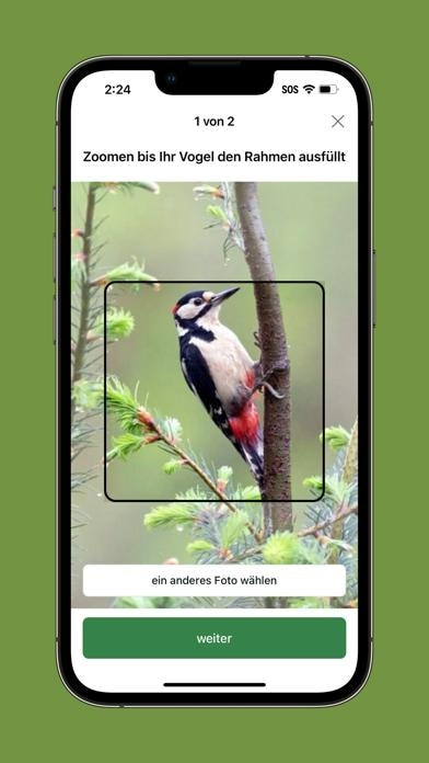 Merlin Bird ID von Cornell Lab Smartphone-Screenshot6