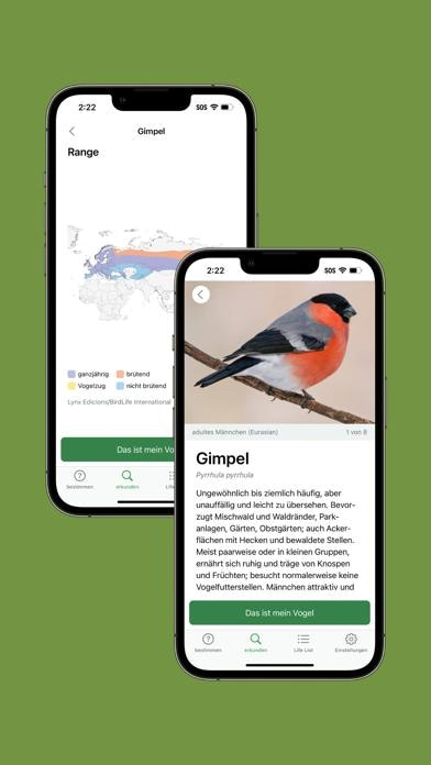Merlin Bird ID von Cornell Lab Smartphone-Screenshot7