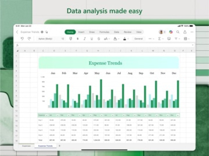 Microsoft Excel Tablet-Screenshot2