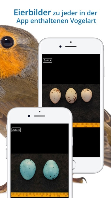 NABU Vogelwelt Smartphone-Screenshot10