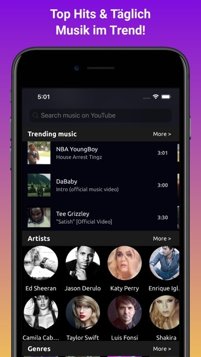Online Musik & Video Player Smartphone-Screenshot7