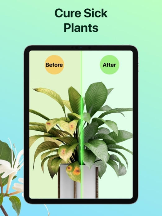 PictureThis: Blumen und Bäume Tablet-Screenshot7