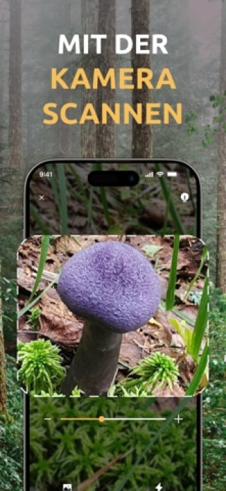 Pilze Bestimmen: Funghi AI Smartphone-Screenshot2