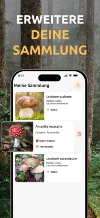 Pilze Bestimmen: Funghi AI Smartphone-Screenshot4