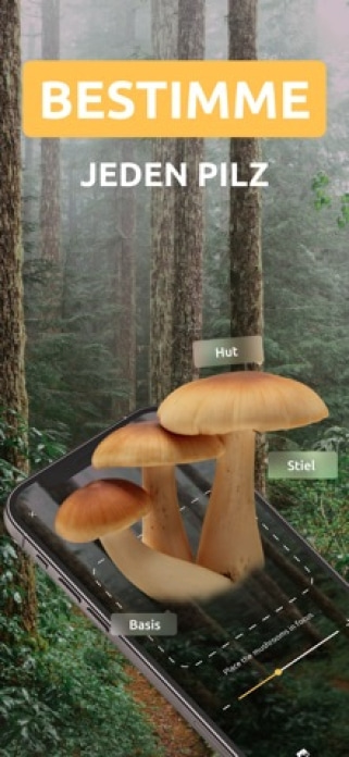 Pilze Bestimmen: Funghi AI Smartphone-Screenshot