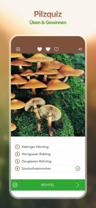 Pilzführer PRO mit Foto ID Smartphone-Screenshot8