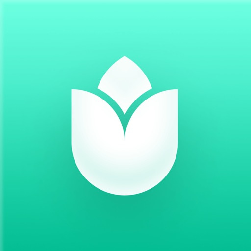PlantIn・Pflanzen+Bäum Erkennen