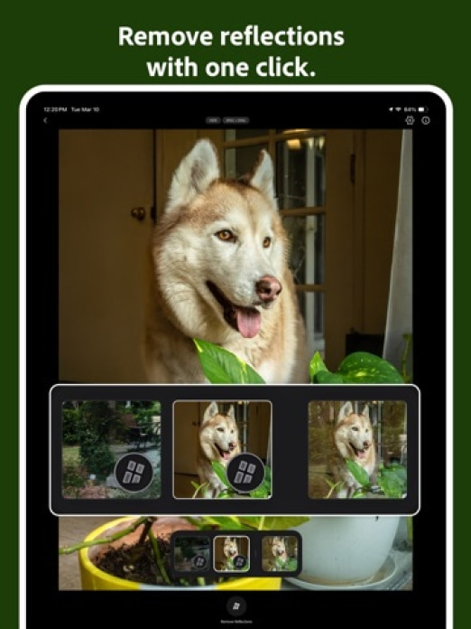 Project Indigo Tablet-Screenshot7