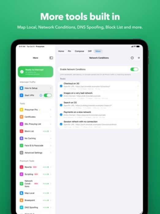 Proxyman - HTTPS erfassen Tablet-Screenshot8