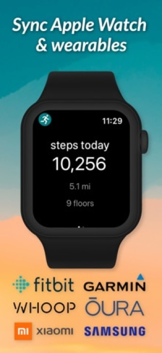 StepUp Pedometer Schrittz&auml;hler Smartphone-Screenshot6
