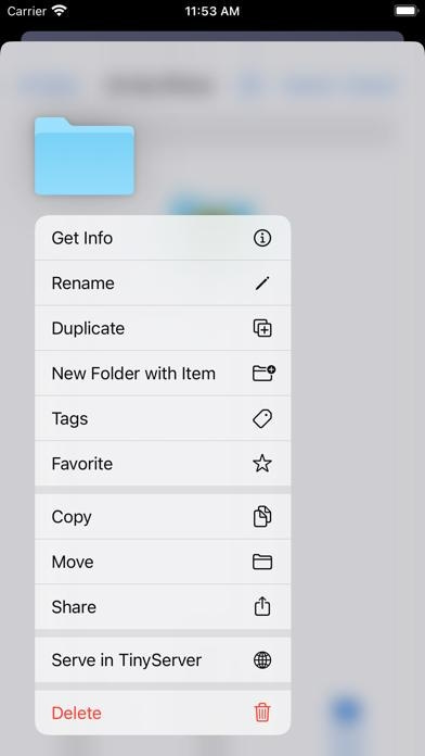 TinyServer Smartphone-Screenshot2