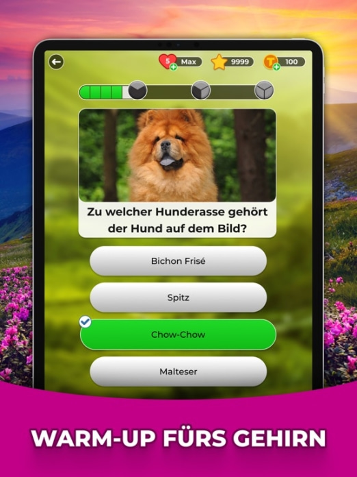 Triviascapes: spannendes Quiz Tablet-Screenshot3