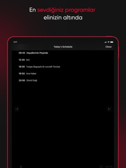 TV İZLE &mdash; T&uuml;rk TV Programm Tablet-Screenshot7