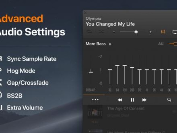 VOX: MP3 & FLAC Music Player Smartphone-Screenshot2