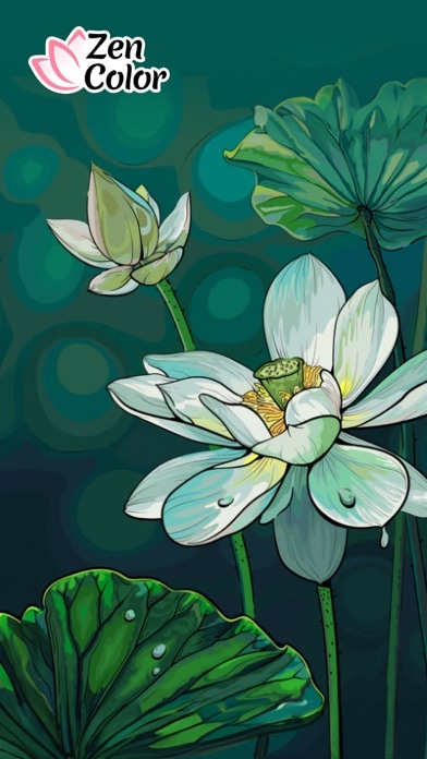Zen Color – Malen nach Zahlen Smartphone-Screenshot