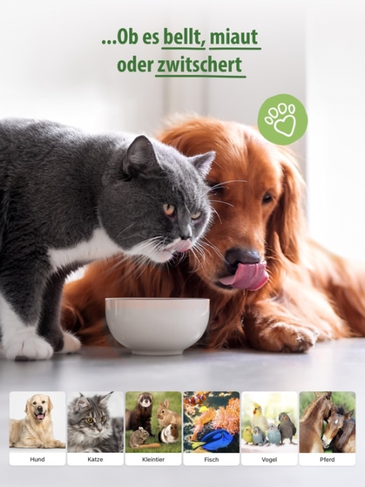 zooplus - Hunde & Katzenbedarf Tablet-Screenshot3